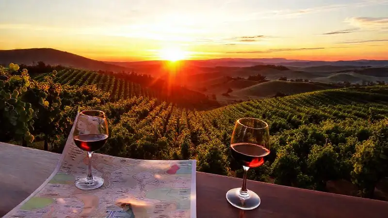 Vistas campestres italianas y españolas en vino