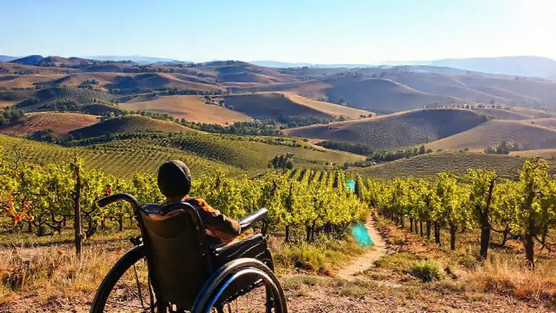Vinos españoles accesibles en paisajes hermosos